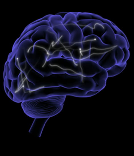 illustrated brain with activity