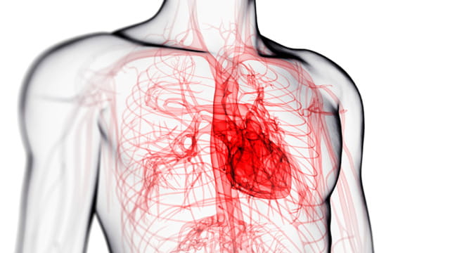 Study Helps Explain How COVID-19 Heightens Risk of Heart Attack
