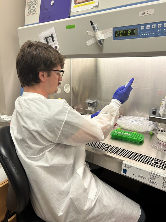 Sean Lade, a 2024 SURI intern, is conducting translational research.