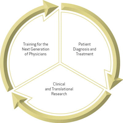 Image of Circle of Research