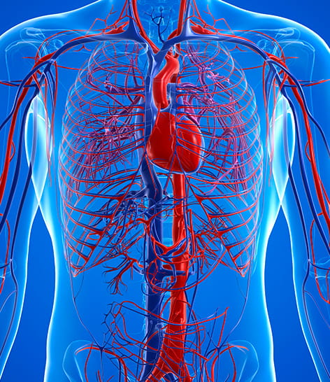 aortic-regurgitation-disease-management